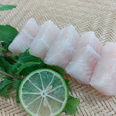  FROZEN PANGASIUS CUBE