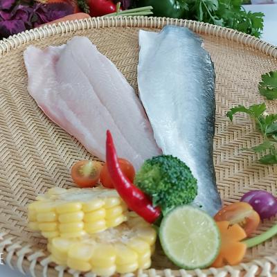  FROZEN PANGASIUS FILLET - SKIN ON