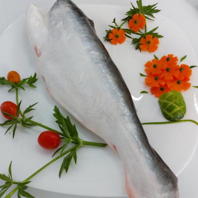  FROZEN PANGASIUS HGT 